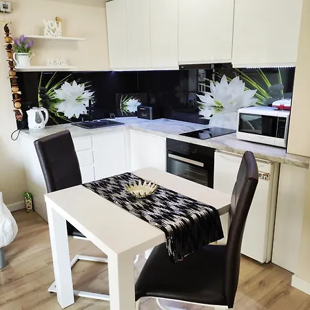 White Lily Apartment Krynica Zdroj Exterior photo